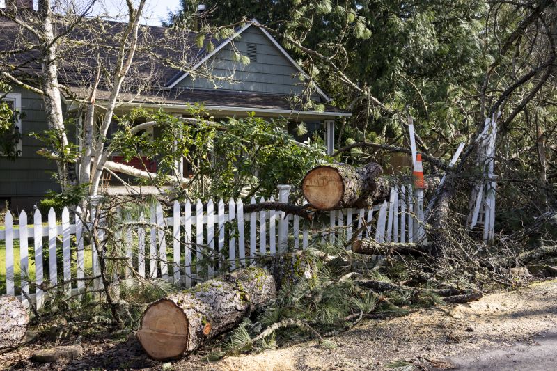 Emergency Tree Removal in Duluth, MN